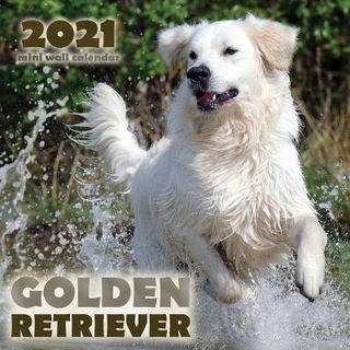 Golden Retriever 2021 Mini Wall Calendar