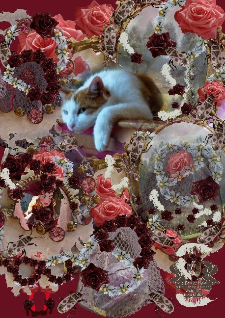 Pretty Poetress Notebook: A Cat Can Be a Big Bad Wolf Too - Katja M&uuml;ller