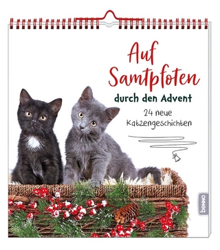 Auf Samtpfoten durch den Advent
