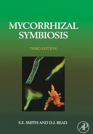 Mycorrhizal Symbiosis