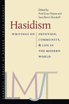 Hasidism &ndash; Writings on Devotion, Community, and Life in the Modern World - Ariel Evan Mayse, Sam Berrin Shonkoff