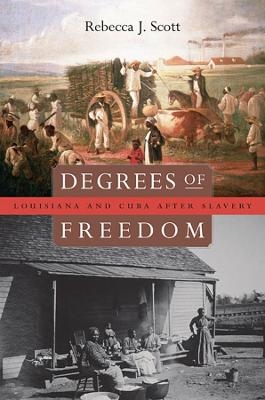 Degrees of Freedom - Rebecca J. Scott