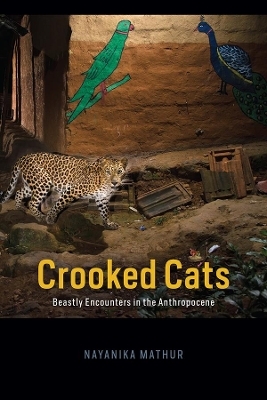 Crooked Cats