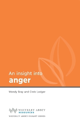 Insight into Anger