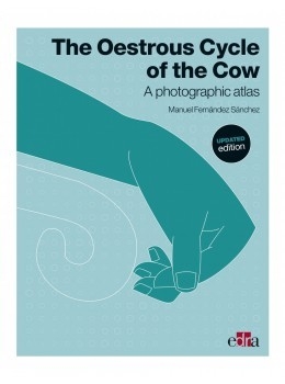 The Oestrous Cycle of the Cow
