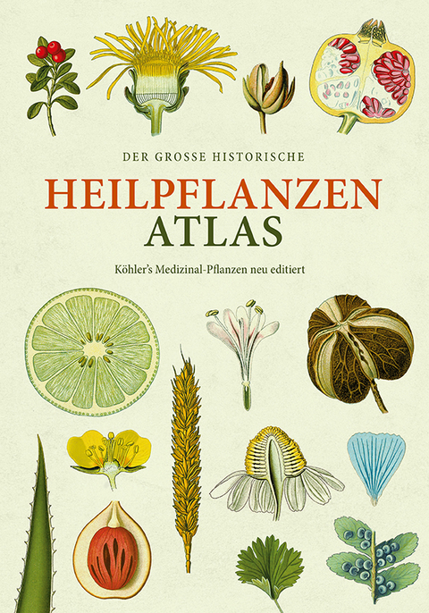 Der gro&szlig;e Heilpflanzen-Atlas - Hermann Adolph K&ouml;hler
