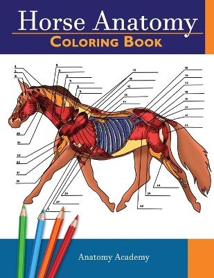 Horse Anatomy -  Anatomy Academy