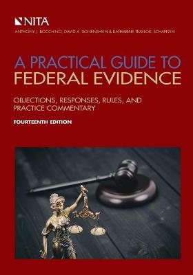 Practical Guide to Federal Evidence - Anthony J Bocchino, David A Sonenshein