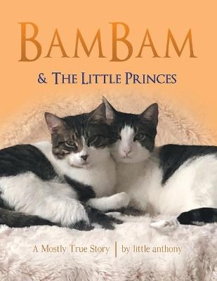 BamBam & The Little Princes - little anthony