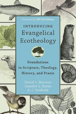Introducing Evangelical Ecotheology &ndash; Foundations in Scripture, Theology, History, and Praxis - Daniel L. Brunner, Jennifer L. Butler, A. J. Swoboda, Bill McKibben