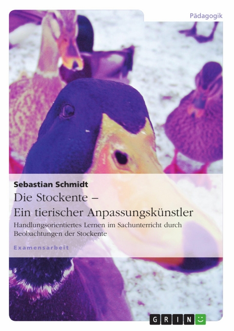Die Stockente - ein tierischer Anpassungsk&uuml;nstler -  Sebastian Schmidt