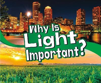 Why Is Light Important? - Mari Schuh