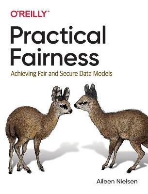 Practical Fairness - Aileen Nielsen