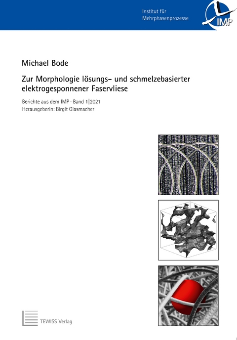 Zur Morphologie l&ouml;sungs- und schmelzbasierter elektrogesponnener Faservliese - Michael Bode