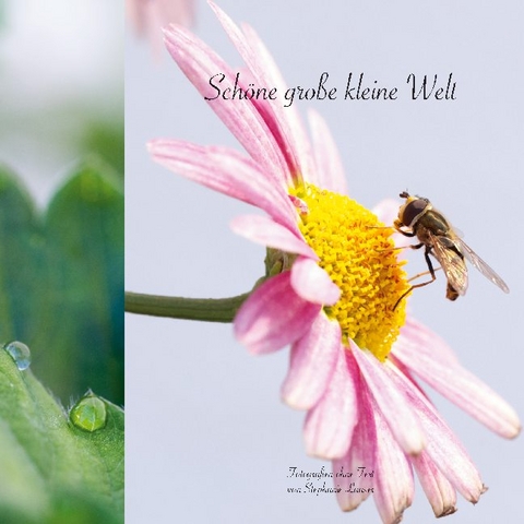 Sch&ouml;ne gro&szlig;e kleine Welt - Stephanie Laaser