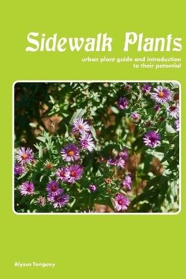 Sidewalk Plants - Alyssa Tanguay