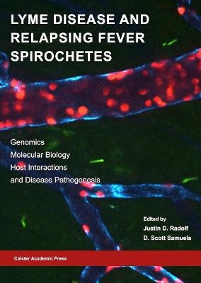 Lyme Disease and Relapsing Fever Spirochetes