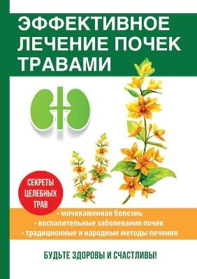 Эффективное лечение почек травами