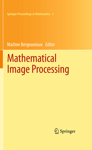 Mathematical Image Processing