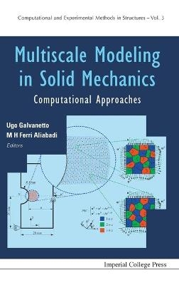 Multiscale Modeling In Solid Mechanics: Computational Approaches - 
