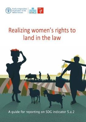 Realizing Women's Rights to Land in the Law