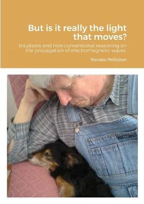 But is it really the light that moves? - Renato Pellizzon