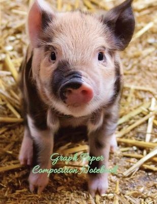 Graph Paper Composition Notebook - Snow Thome