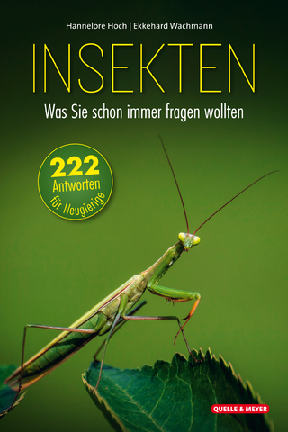 Insekten – Was Sie schon immer fragen wollten