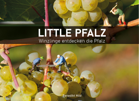 Little Pfalz - Benedikt Hild