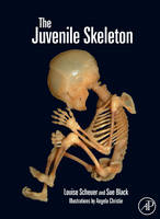 Juvenile Skeleton