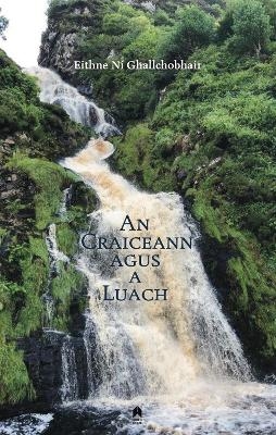 An Craiceann Agus a Luach - Eithne N&iacute; Ghallchobhair