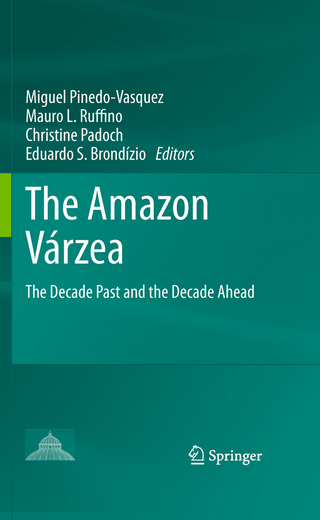 The Amazon Várzea