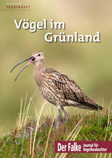 V&ouml;gel im Gr&uuml;nland