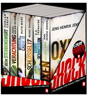 Box BILD Mega-Thriller 2021