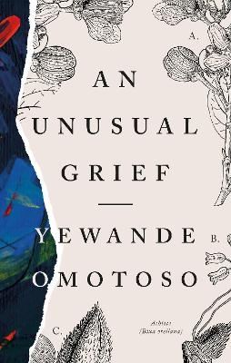 An Unusual Grief - Yewande Omotoso