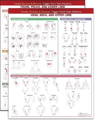 Travell, Simons & Simons&rsquo; Trigger Point Pain Patterns Wall Charts Package