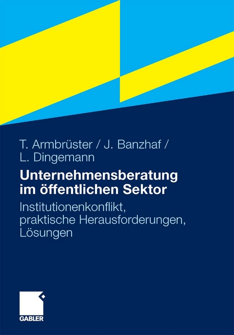Unternehmensberatung im &ouml;ffentlichen Sektor - Thomas Armbr&uuml;ster, Johannes Banzhaf, Lars Dingemann