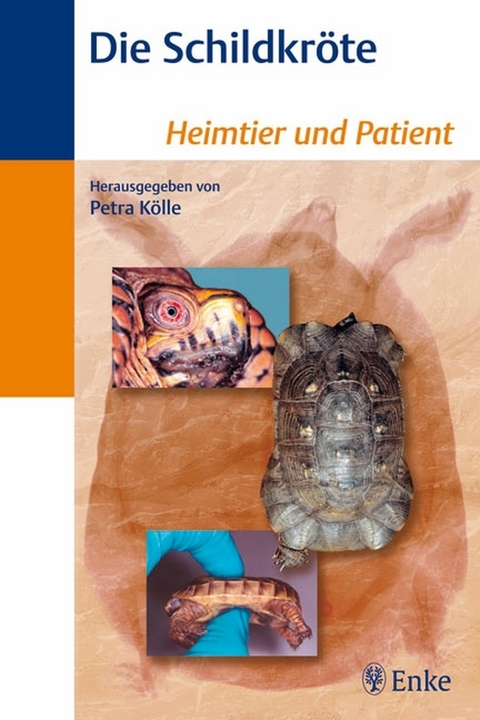 Die Schildkr&ouml;te -  Petra K&ouml;lle
