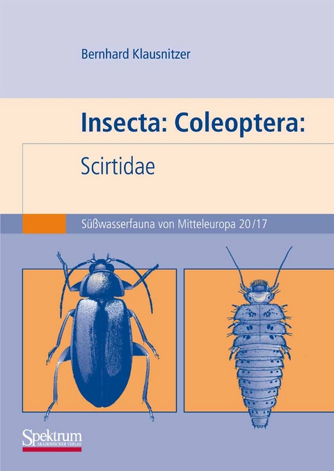Insecta: Coleoptera: Scirtidae - Bernhard Klausnitzer