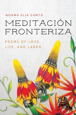 Meditación Fronteriza