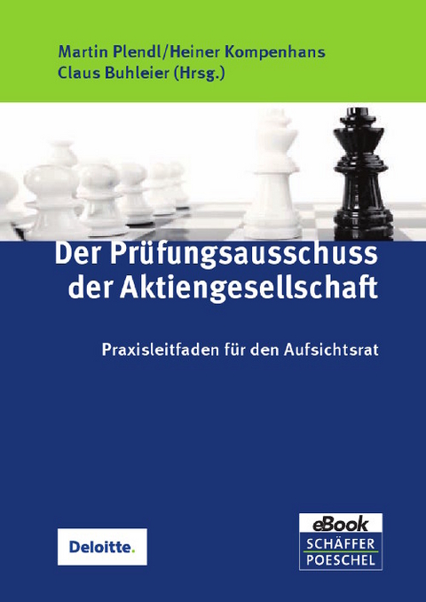 Der Pr&uuml;fungsausschuss der Aktiengesellschaft - 