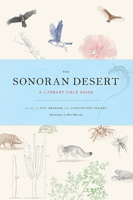 The Sonoran Desert - 