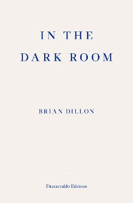 In the Dark Room - Brian Dillon