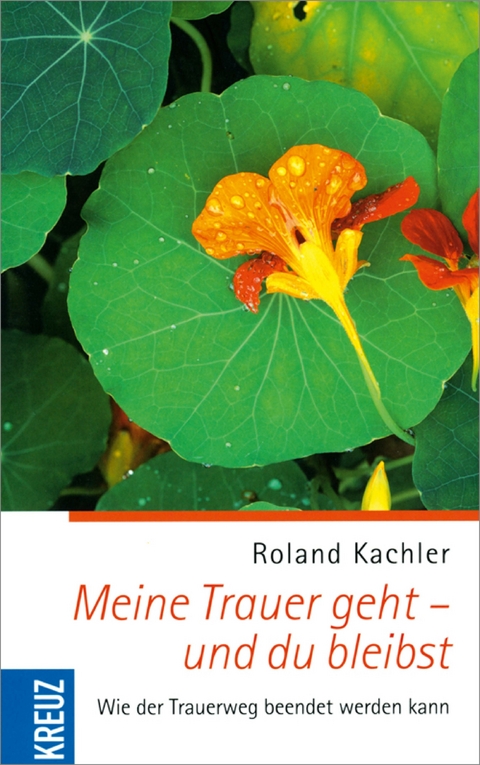Meine Trauer geht - und du bleibst - Roland Kachler