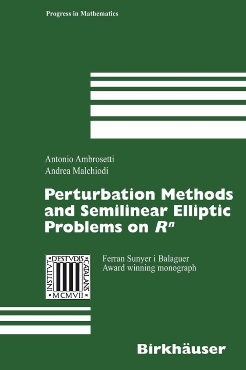 Perturbation Methods and Semilinear Elliptic Problems on R^n - Antonio Ambrosetti, Andrea Malchiodi