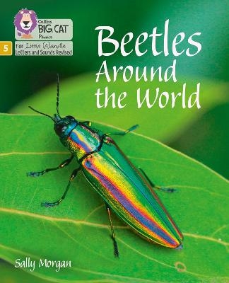 Beetles Around the World - Sally Morgan