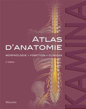 Atlas d'anatomie : morphologie, fonction, clinique