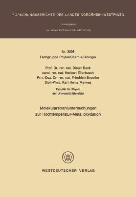Molekularstrahluntersuchungen zur Hochtemperatur- Metalloxydation