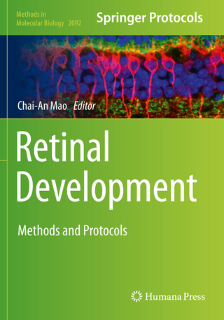 Retinal Development