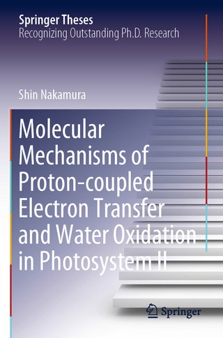 Molecular Mechanisms of Proton-coupled Electron Transfer and Water Oxidation in Photosystem II